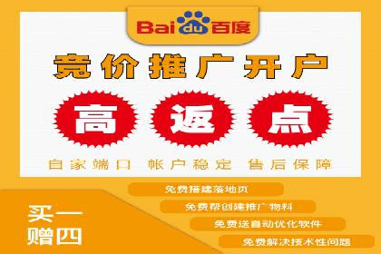 百度竞价优化技巧：成功案例分享